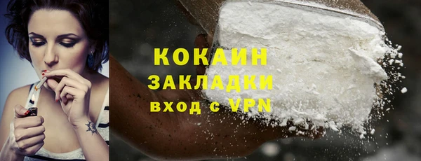 тгк Арсеньев